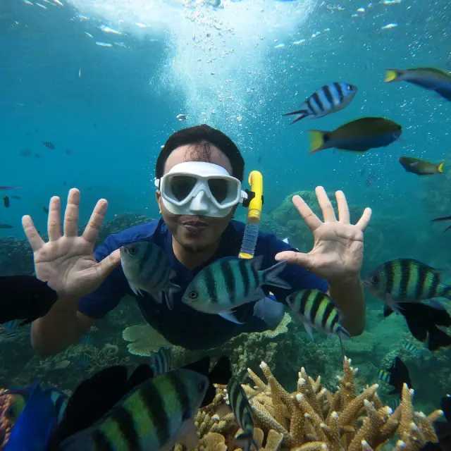 enjoy a snorkeling adventure